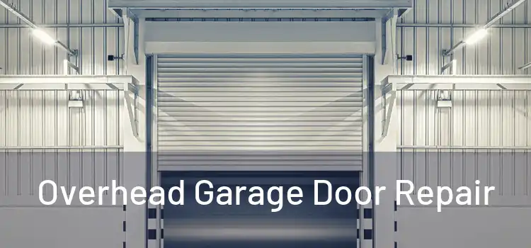  Overhead Garage Door Repair 